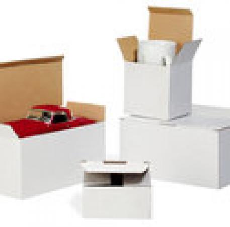 Quickbox mit Automatikboden