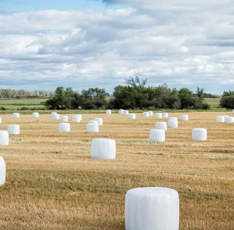 Silage-Stretchfolie