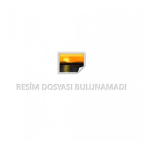 Birinci Proje